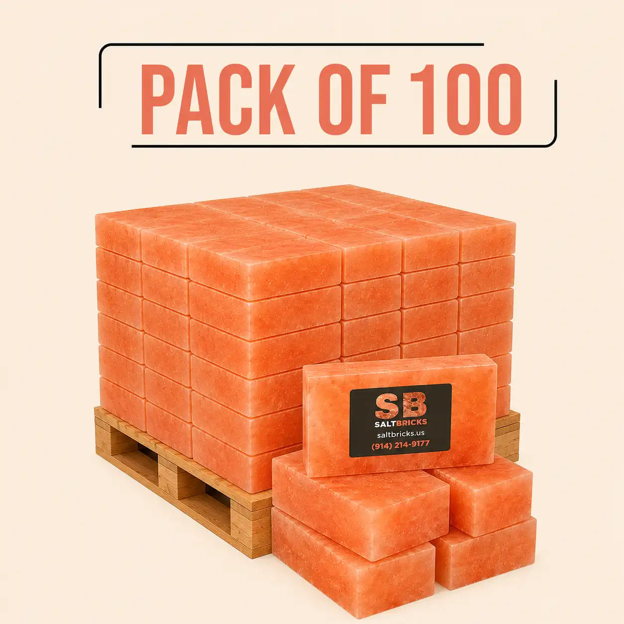 Salt Wall-20 sq. ft. (100 Himalayan Salt Bricks and 3 Salt Adhesives)