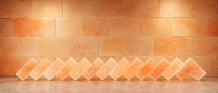 Wholesale Himalayan Salt bricks