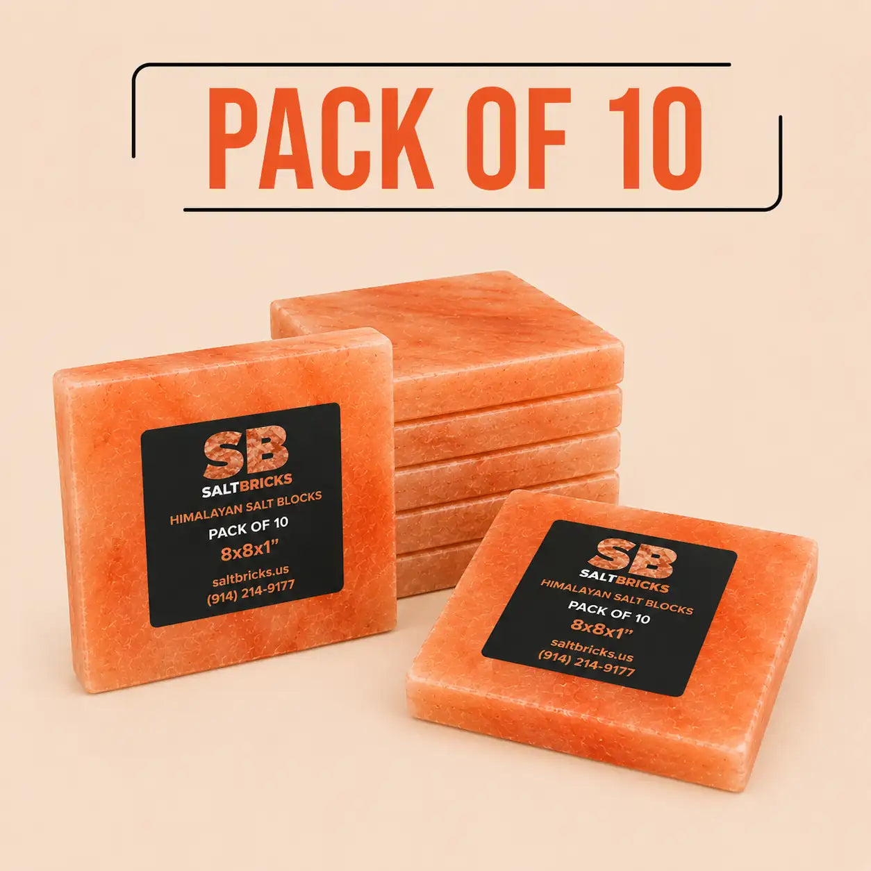 Himalayan Salt Blocks 8"×8"×1", Pack of 10