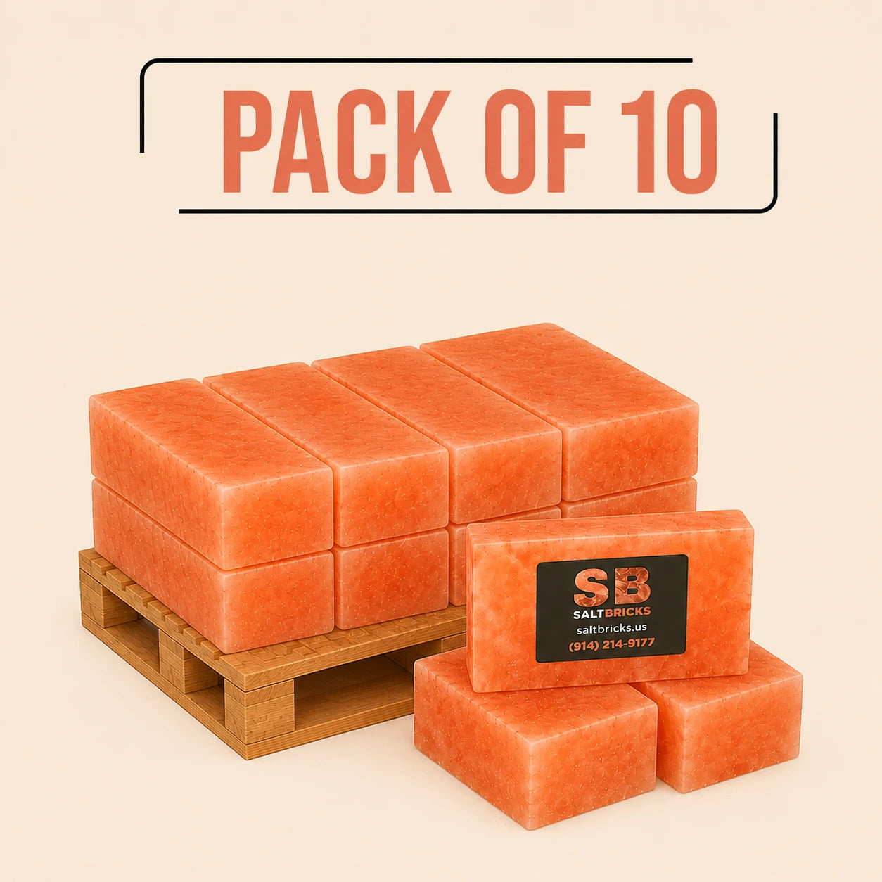 Himalayan Salt Bricks 8"×4"×2", Pack of 10