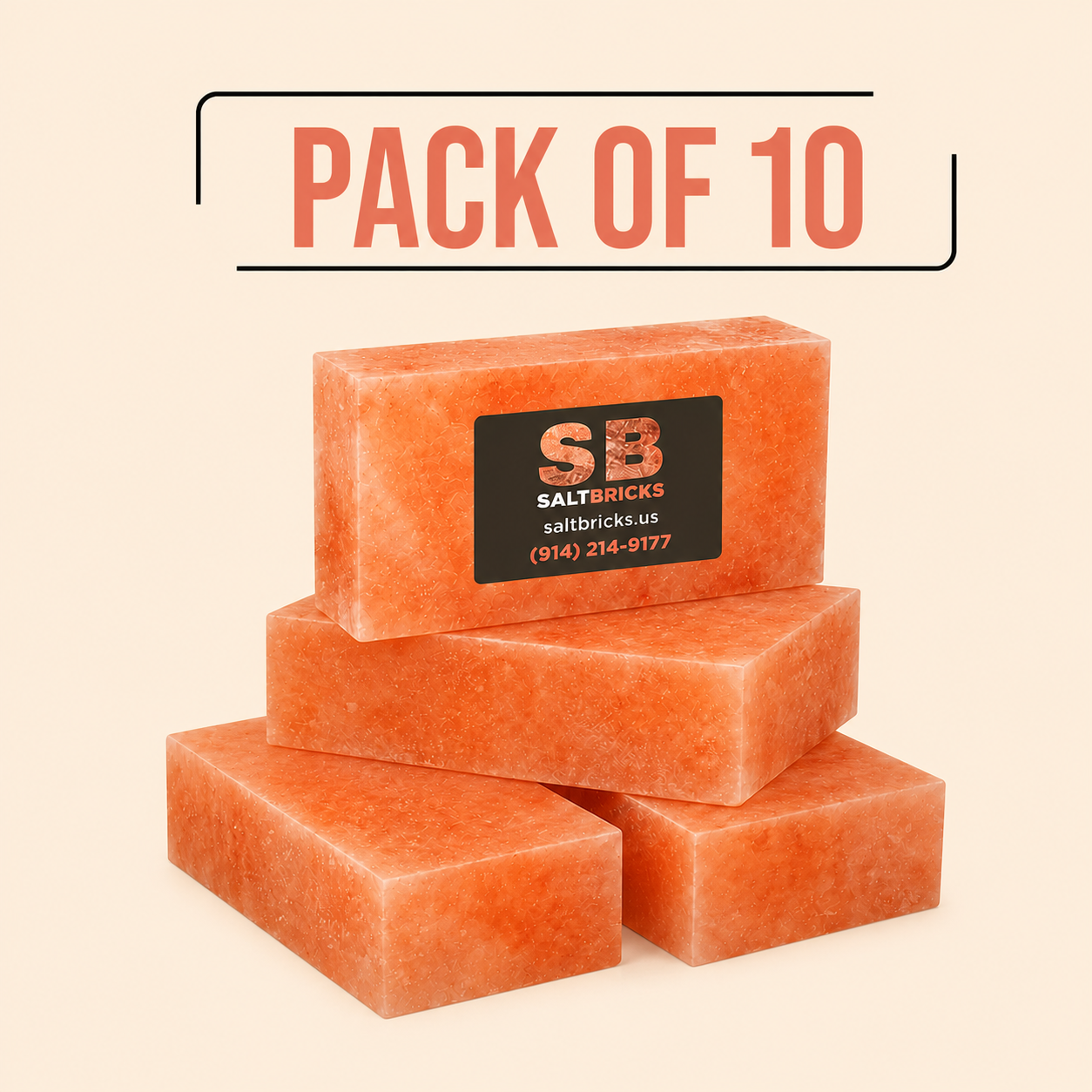 Himalayan Salt Bricks 8"×4"×2", Pack of 10