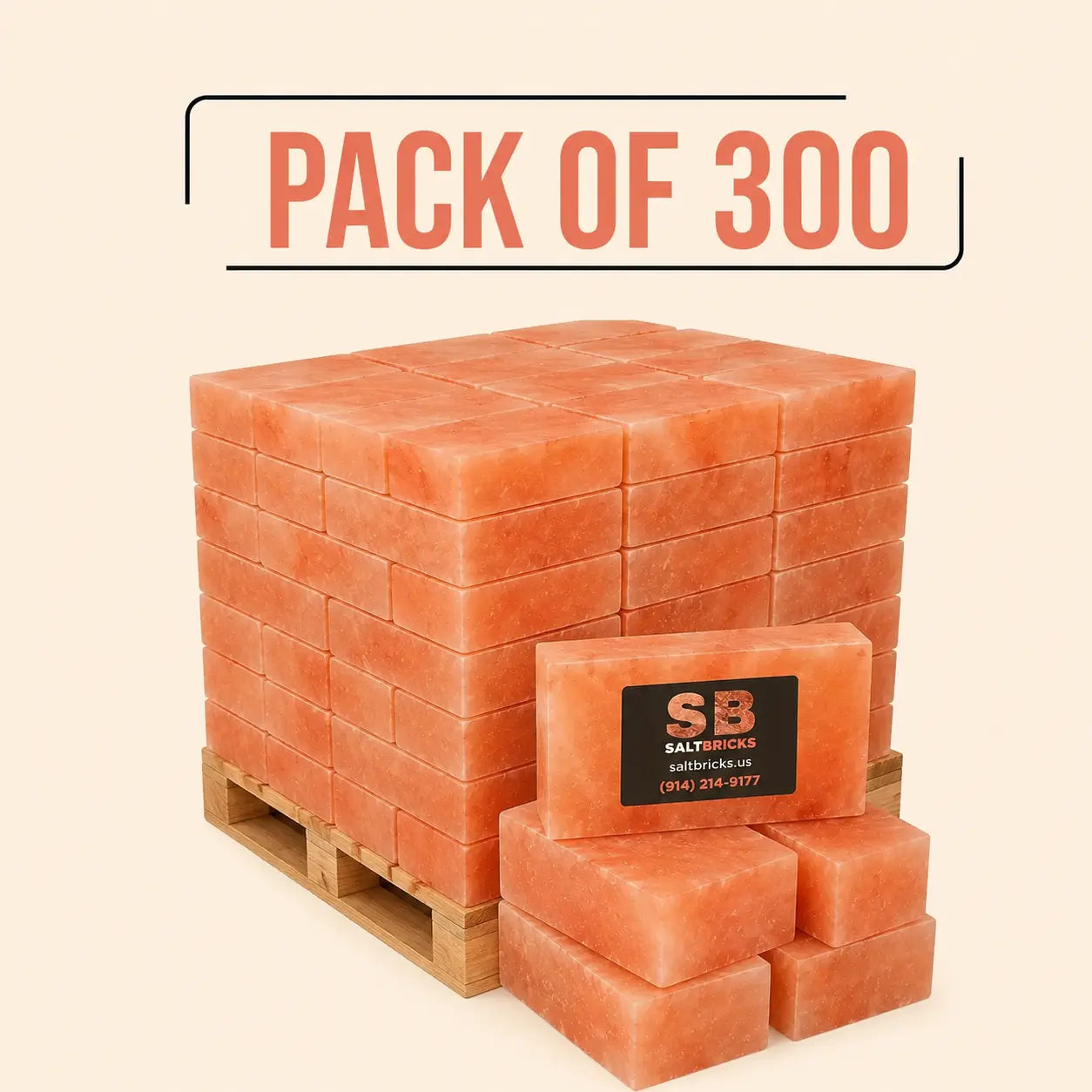 Himalayan Salt Bricks 8"×4"×2", Pack of 300