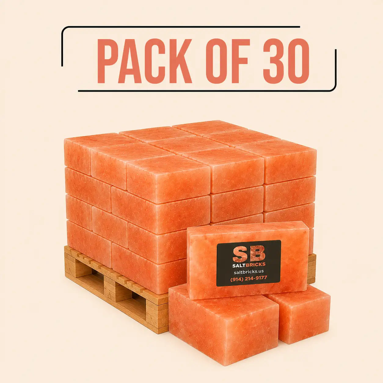 Himalayan Salt Bricks 8"×4"×2", Pack of 30