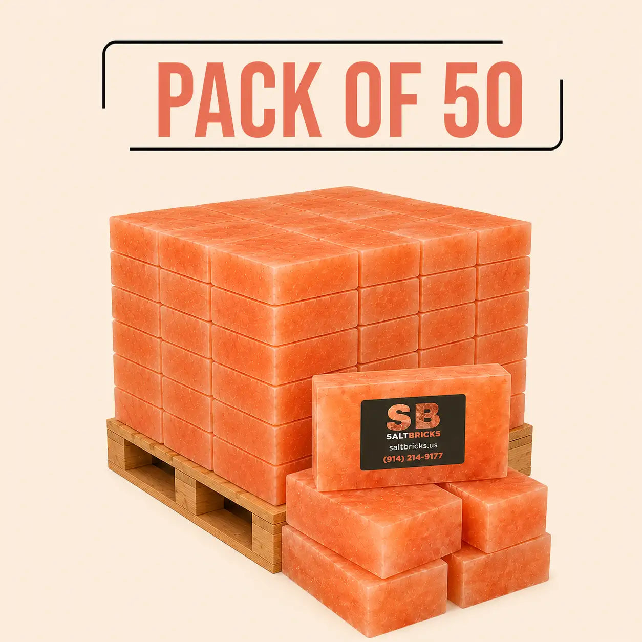 Himalayan Salt Bricks 8"×4"×2", Pack of 50