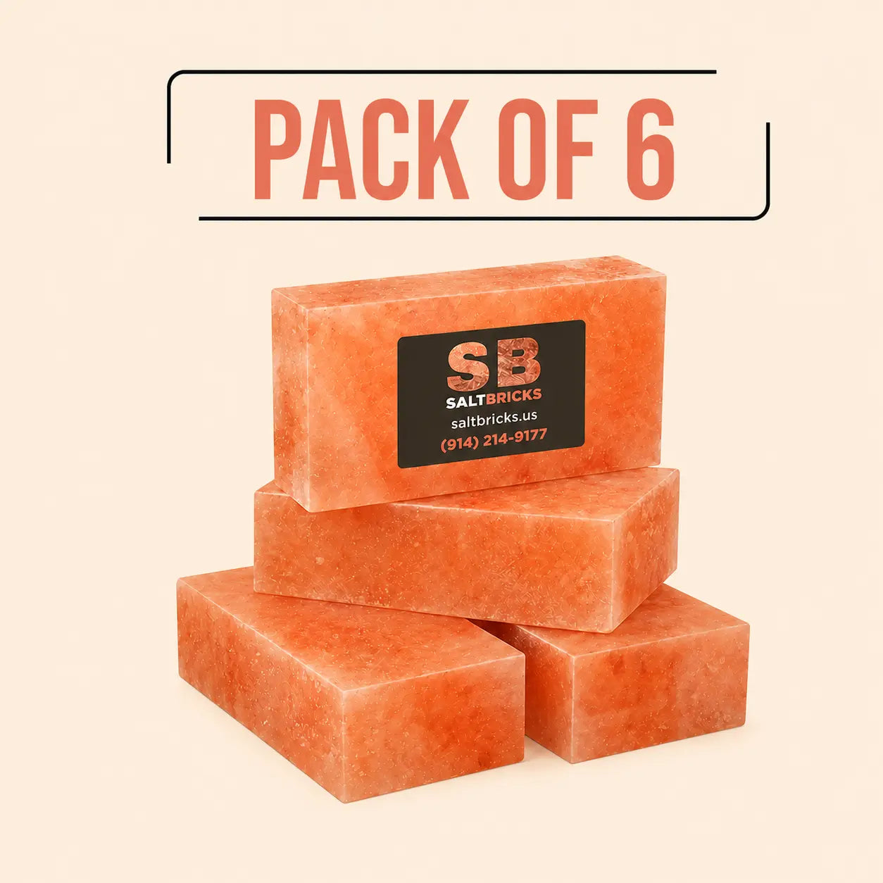 Himalayan Salt Bricks 8"×4"×2", Pack of 6