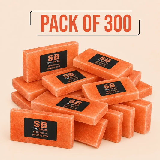 Himalayan Salt Tiles 8"×4"×1", Pack of 300