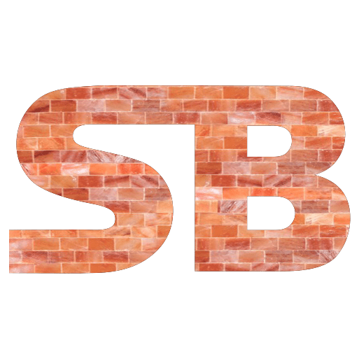 Salt Bricks Logo
