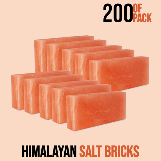 Wholesale Himalayan Salt Bricks 8" x 4" x 2" - Pack 200