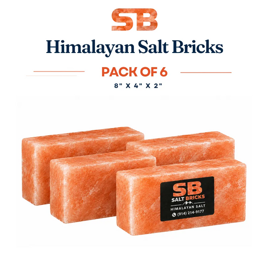 Himalayan Salt Bricks 8"×4"×2", Pack of 6