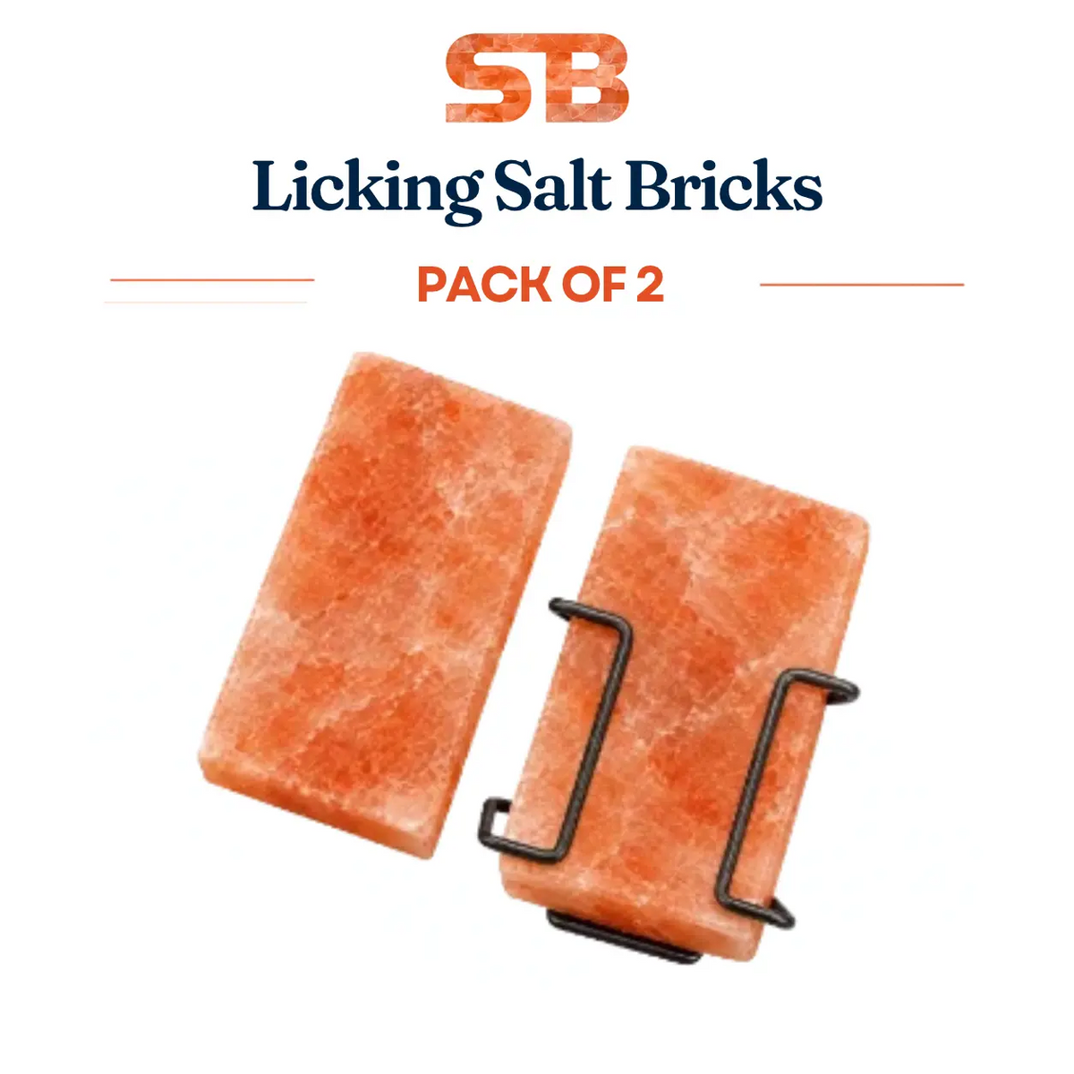 Animal Licking Salt Blocks
