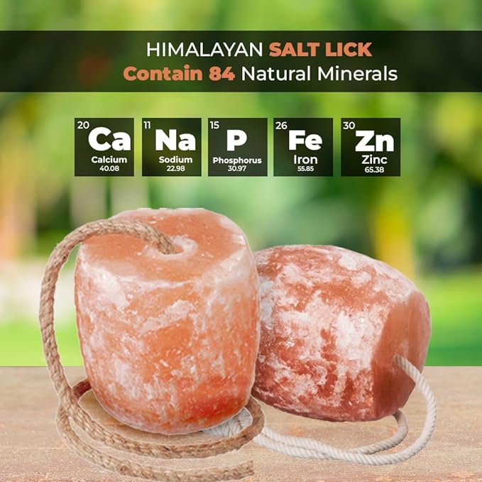 Himalayan licking salt block