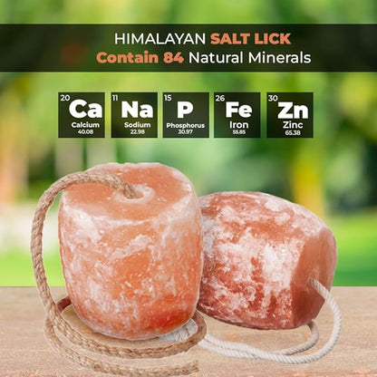 Himalayan licking salt block