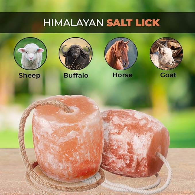 Himalayan Animal Mineral Lick Salt- ZK Trading