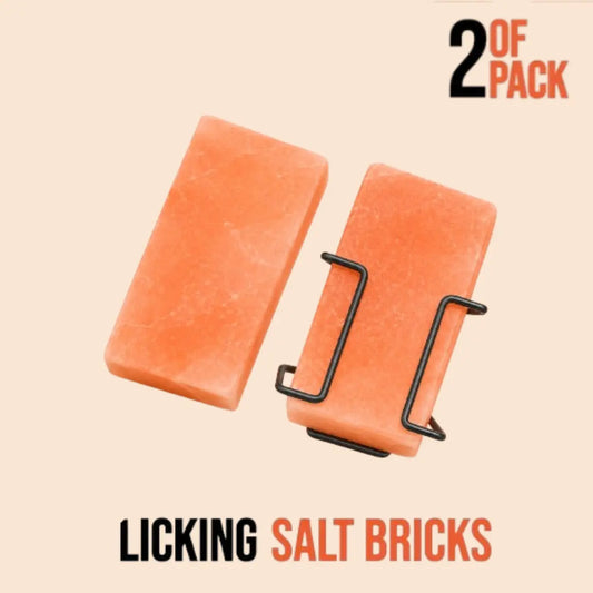 Animal Licking Salt Blocks
