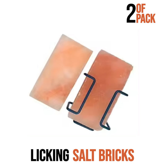 Licking salt bricks - Pack 2