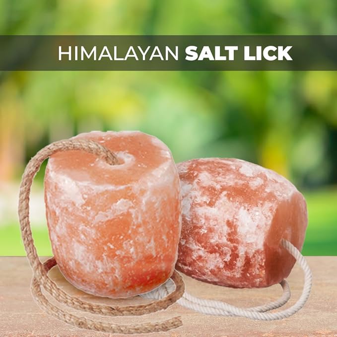 Himalayan licking salt block
