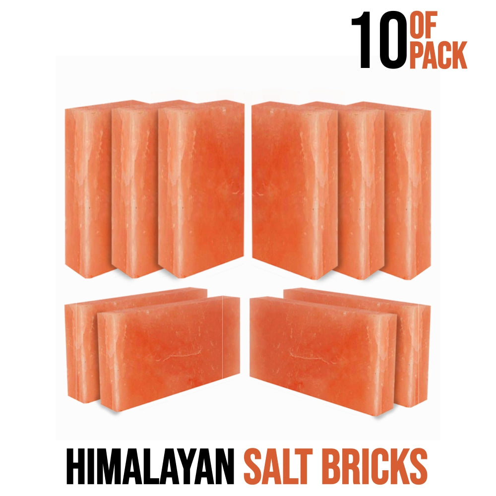 Salt bricks for wall