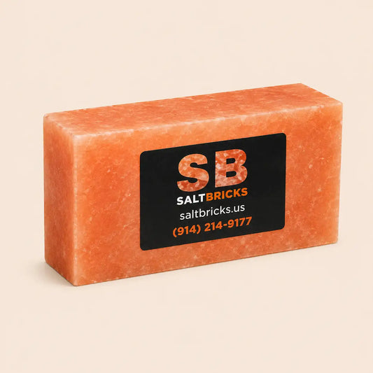 Himalayan Salt Bricks 8" x 4" x 2"