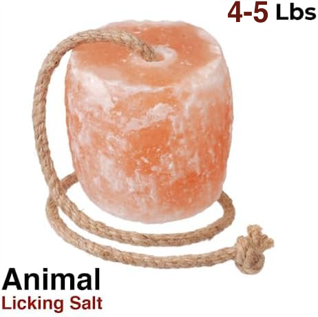 Licking Salt Block