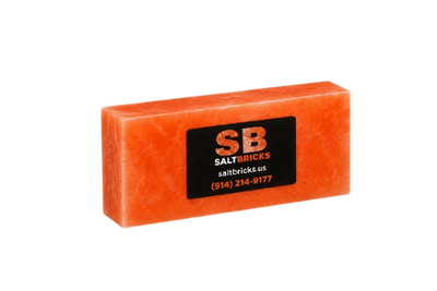 Salt Bricks