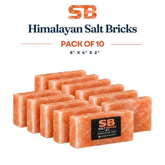 Himalayan Salt Bricks 8x4x2 Pack of 10
