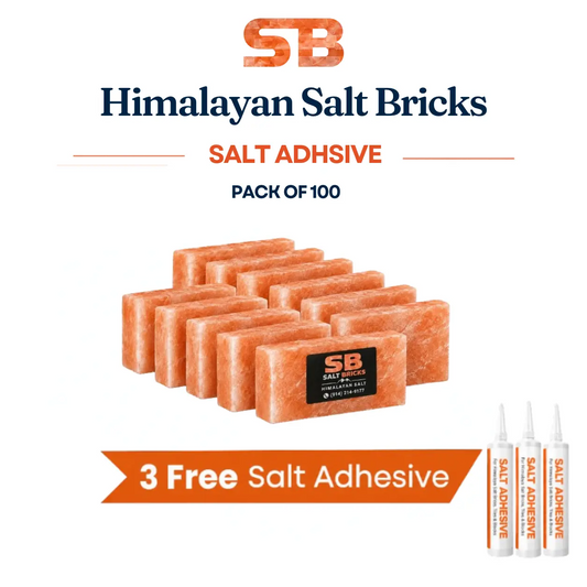 Himalayan salt bricks 8x4x2 pack of 100 with salt adhesive