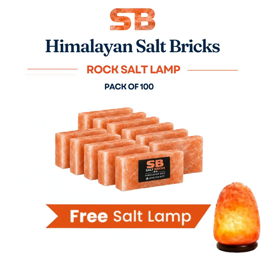 Himalayan Salt Bricks 8x4x2 Pack Of 100 With Salt Lamp