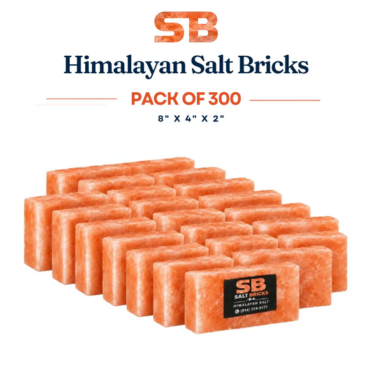 Himalayan Salt Bricks 8x4x2 Pack Of 300