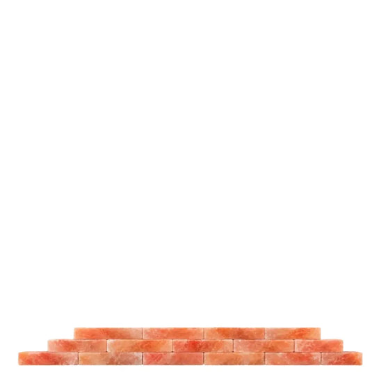 Salt Bricks