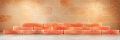 Shop Salt Bricks