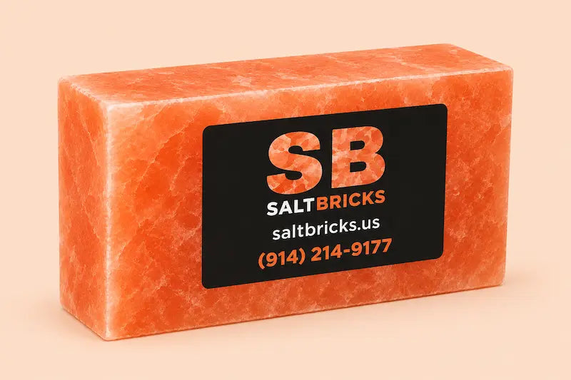  Himalayan Salt Bricks